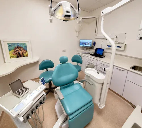 Treatment room at Stunning Smile Clinic with a teal dental chair
